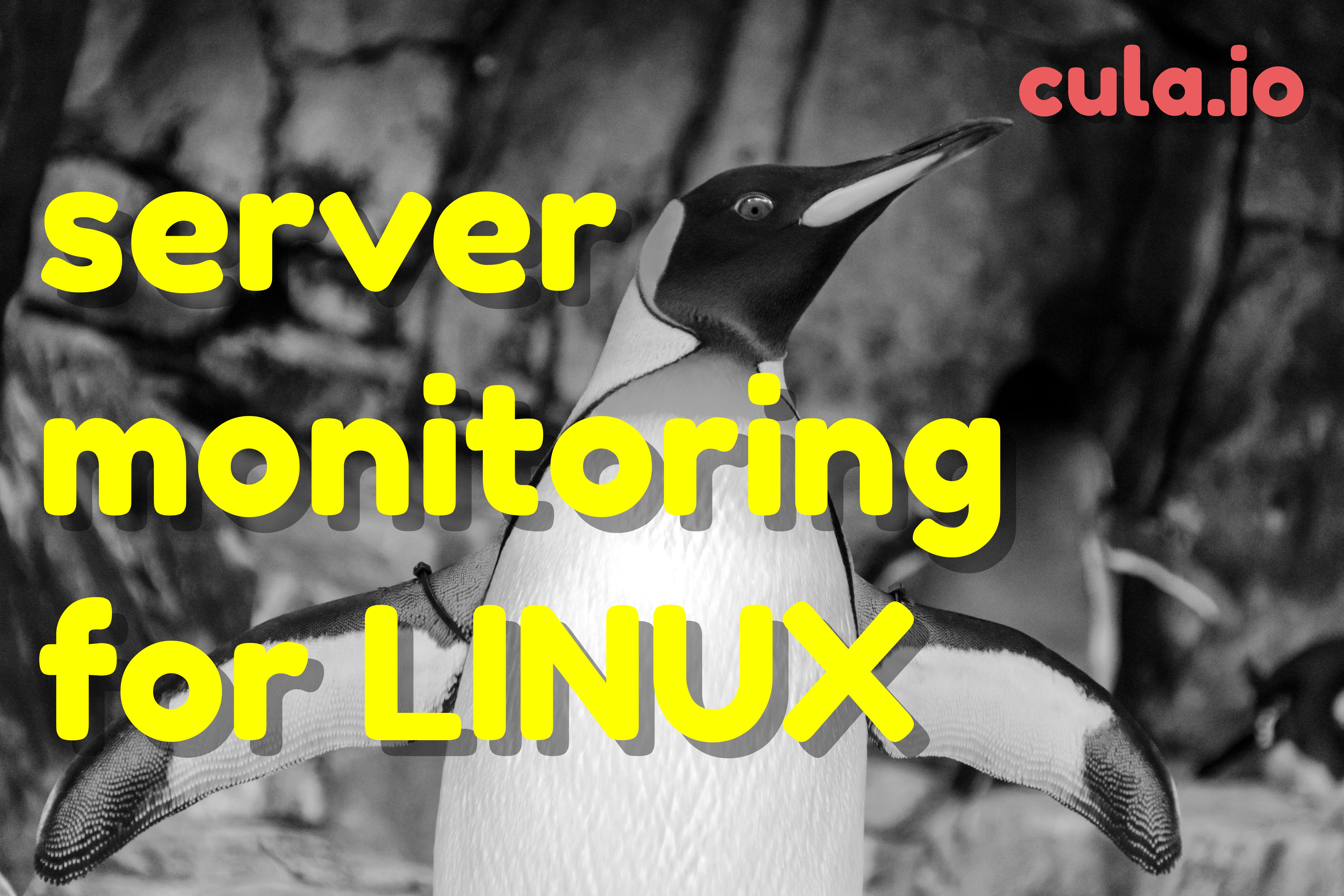 A quick and simple tutorial on how to monitor your linux server.