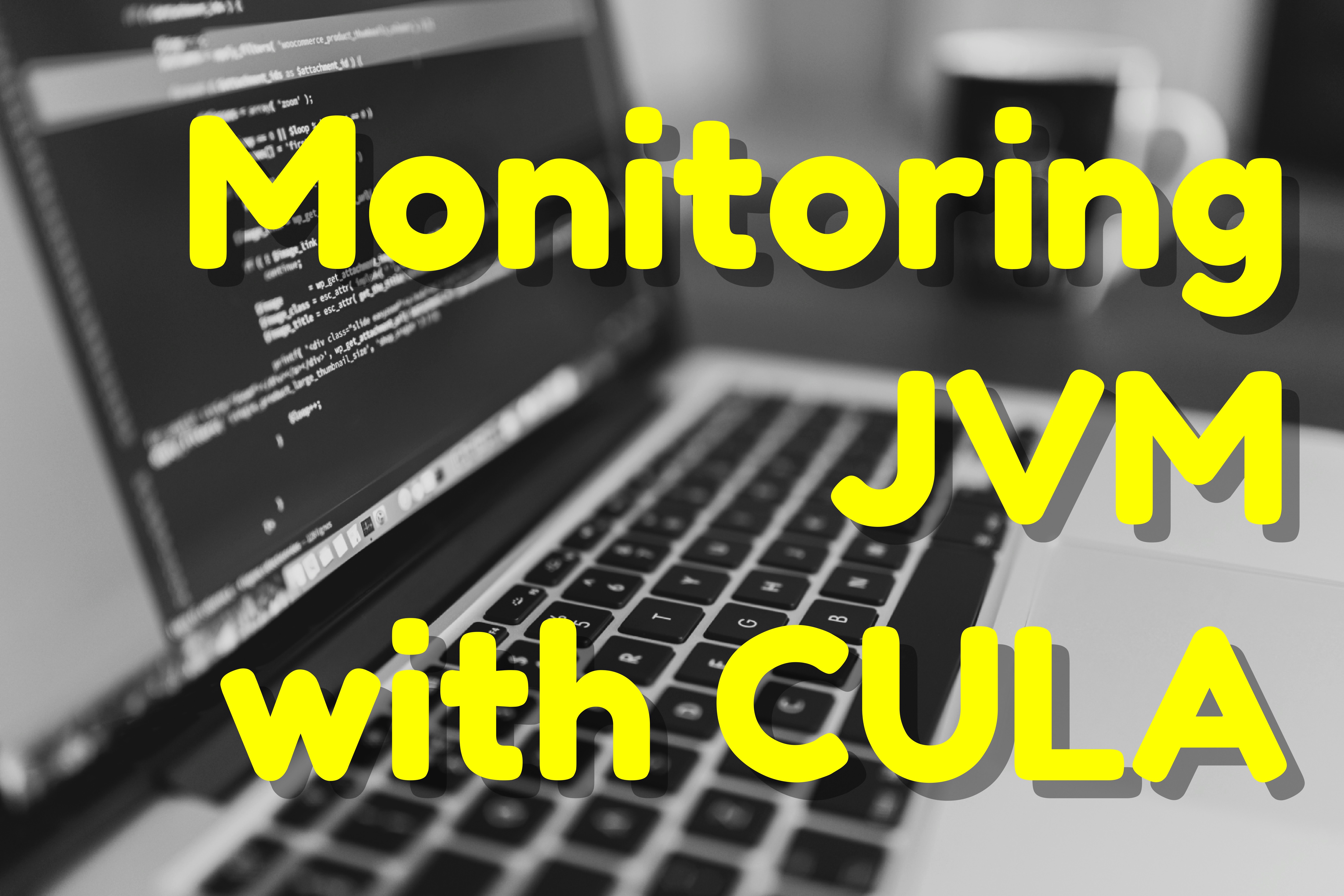 JVM monitoring cases
